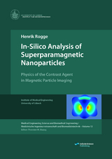 In-Silico Analysis of Superparamagnetic Nanoparticles - Rogge Henrik