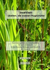 Insekten: Libellen, die wahren Flugkünstler - Anke Nitschke