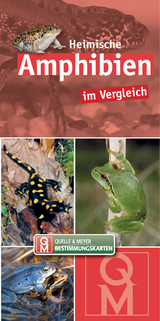 Heimische Amphibien - 