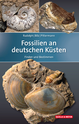 Fossilien an deutschen Küsten - Frank Rudolph, Wolfgang Bilz, Dirk Pittermann