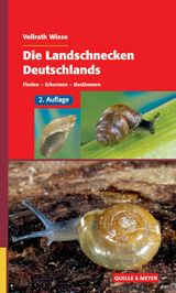 Die Landschnecken Deutschlands - Vollrath Wiese