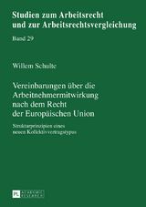 Vereinbarungen über die Arbeitnehmermitwirkung nach dem Recht der Europäischen Union - Willem Schulte