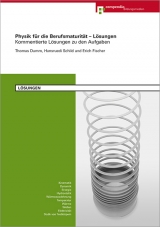 Physik für die Berufsmaturität - Lösungen - Thomas Dumm, Erich Fischer, Hansruedi Schild