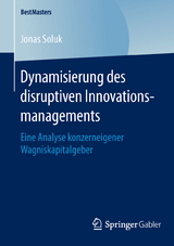 Dynamisierung des disruptiven Innovationsmanagements - Jonas Soluk