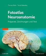 Fotoatlas Neuroanatomie - Deller, Thomas; Sebesteny, Tamas