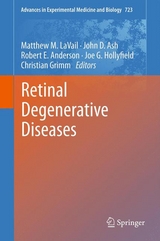 Retinal Degenerative Diseases - 