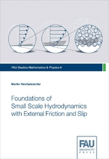 Foundations of Small Scale Hydrodynamics with External Friction and Slip - Martin Reichelsdorfer