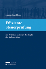 Effiziente Steuerprüfung - Markus Scheiblauer