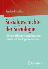 Sozialgeschichte der Soziologie - Bernhard Schäfers