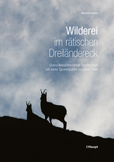 Wilderei im rätischen Dreiländereck - Heinrich Haller