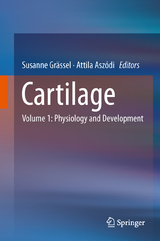 Cartilage - 