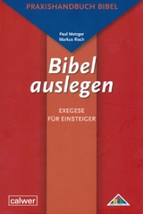 Bibel auslegen - Paul Metzger, Markus Risch