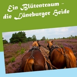 Ein Blütentraum - die Lüneburger Heide - Gerhard Köhler