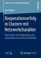 Kooperationserfolg in Clustern mit Netzwerkcharakter - David Beyer