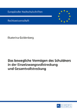 Das bewegliche Vermögen des Schuldners in der Einzelzwangsvollstreckung und Gesamtvollstreckung - Ekaterina Goldenberg