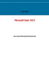 Microsoft Excel 2013 - Frank Stelzer