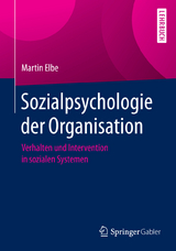 Sozialpsychologie der Organisation - Martin Elbe