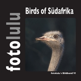 Birds of Südafrika -  fotolulu