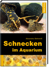 Schnecken im Aquarium - Alexandra Behrendt