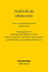 Strafrecht als ultima ratio - 