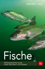 Fische - Gebhardt, Harald; Ness, Andreas