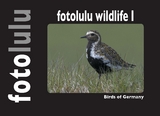 fotolulu wildlife I -  fotolulu