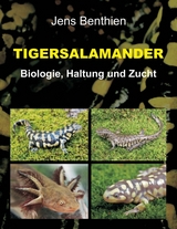 Tigersalamander - Jens Benthien