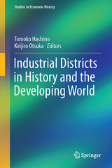 Industrial Districts in History and the Developing World - 