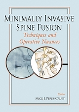 Minimally Invasive Spine Fusion: Techniques and Operative Nuances - Perez-Cruet, Mick; Beisse, Rudolf; Pimenta, Luiz; Kim, Daniel H.