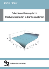 Schockverstärkung durch Insolvenzkaskaden in Bankensystemen - Daniel Förster