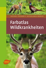 Wildkrankheiten - Michael Freiherr v. Keyserlingk-Eberius