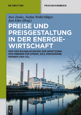 Preise und Preisgestaltung in der Energiewirtschaft - 