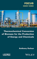 Thermochemical Conversion of Biomass for the Production of Energy and Chemicals -  Anthony Dufour