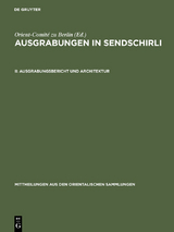 Ausgrabungsbericht und Architektur - 