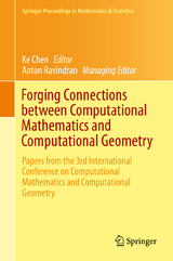 Forging Connections between Computational Mathematics and Computational Geometry - 