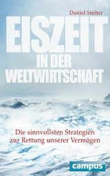 Eiszeit in der Weltwirtschaft -  Daniel Stelter