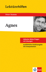 Lektürehilfen Peter Stamm "Agnes" - Johannes Wahl