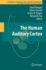 The Human Auditory Cortex - 