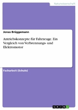 Antriebskonzepte für Fahrzeuge. Ein Vergleich von Verbrennungs- und Elektromotor -  Jonas Brüggemann