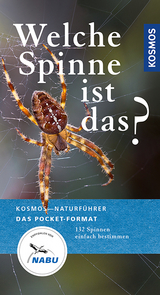 Welche Spinne ist das? - Martin Baehr