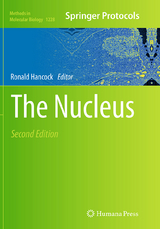 The Nucleus - 