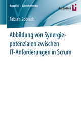 Abbildung von Synergiepotenzialen zwischen IT-Anforderungen in Scrum - Fabian Sobiech