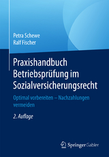 Praxishandbuch Betriebsprüfung im Sozialversicherungsrecht - Schewe, Petra; Fischer, Ralf