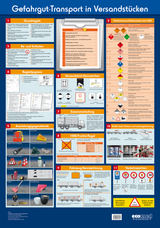 Wandtafel Gefahrgut-Transport in Versandstücken - Ridder, Klaus