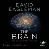 The Brain - David Eagleman