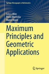 Maximum Principles and Geometric Applications - Luis J. Alías, Paolo Mastrolia, Marco Rigoli