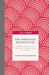 The Ambiguous Multiplicities - A. Mubi Brighenti