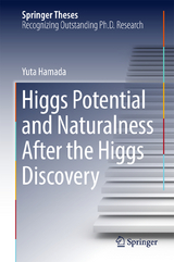 Higgs Potential and Naturalness After the Higgs Discovery - Yuta Hamada