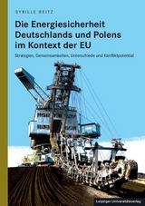 Die Energiesicherheit Deutschlands und Polens im Kontext der EU - Sybille Reitz