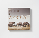 Pride of Africa. - Klaus Tiedge